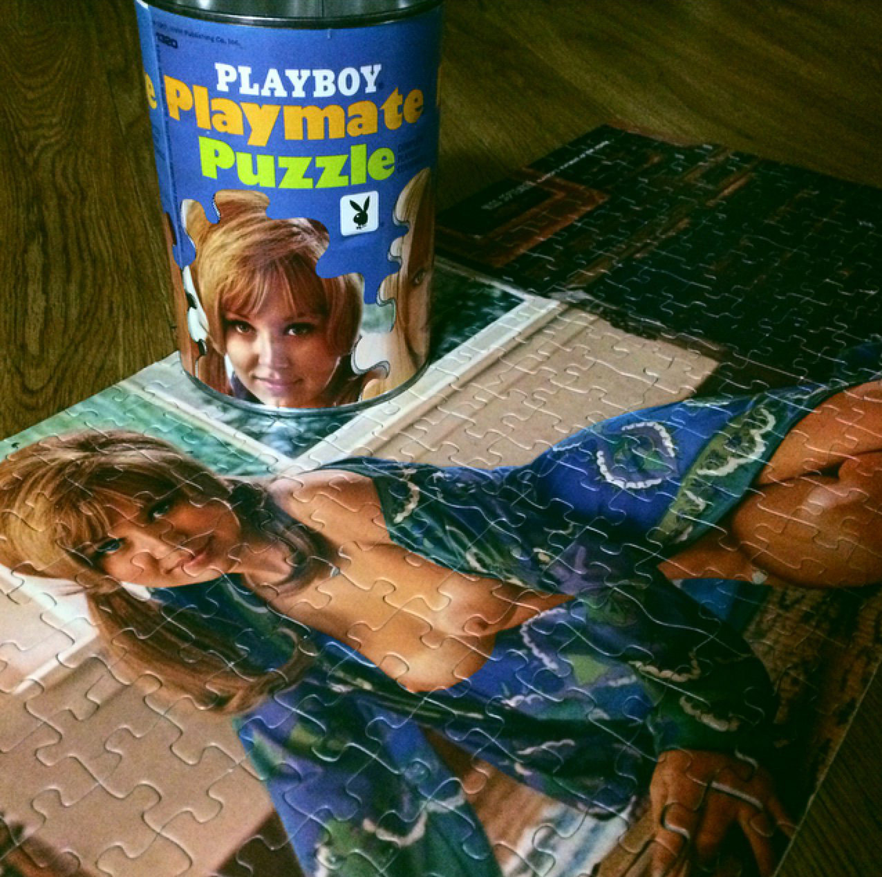 Playboy Playmate Shay Knuth in Playmate Puzzle